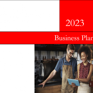 Business-Plan-Standard2
