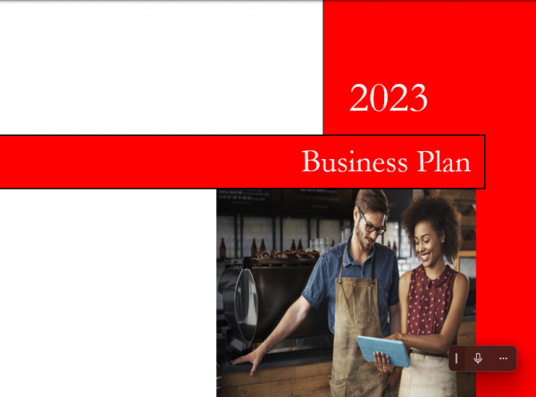 Business-Plan-Standard2
